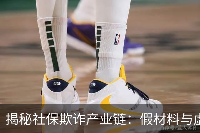 揭秘社保欺诈产业链：假材料与虚假合同的内幕